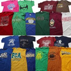 古着卸 まとめ売り カラーmix プリント 半袖Tシャツ 20枚セット (メンズ L ) チームロゴ 英文字プリント ワンポイント 中古 古着 NA7020