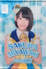 【中古】タペストリー(女性) 宮脇咲良(HKT48) A2個別BIGタペストリー 2015年AKB48グループショップ予約限定