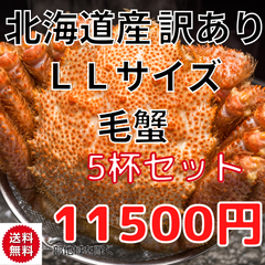 訳あり！　北海道産　冷凍毛蟹　410g~450g　5尾セット　けがに　かに