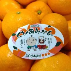 とぴあみかん　Mサイズ　５㎏　静岡県産