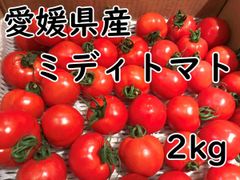 愛媛県産 ミディアム トマト 2kg