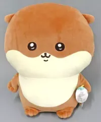 2025年最新】カワウソ ぬいぐるみ a賞の人気アイテム - メルカリ