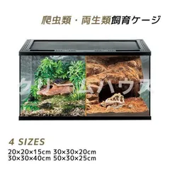 2025年最新】ケージ 爬虫類 グラステラリウムの人気アイテム