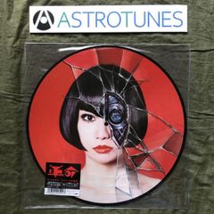 新品 レコード 貴重 ZIBAKU 自爆 大衆に告ぐ - メルカリ