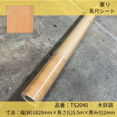 床材／長尺シート／東リ／ホスピリュームNW／木目調／TS2040／182cm×5.5m巻長