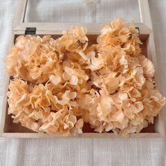 プリザーブドフラワー アジサイ 約12g (淡いオレンジ)  TK 未使用品 紫陽花 ヘッド