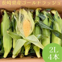 【choka】キタカムイ☆ながさき黄金☆寒咲菜花☆きゅうり☆長崎県産 人気商品】寒咲の小菊 - e-MUMshop