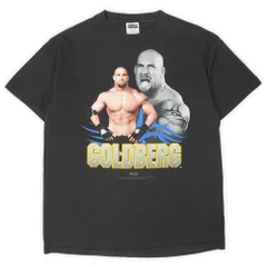 レア　１９９６年　新日　ＷＣＷ　プロレス　Ｔシャツ　オールスター レア! 1996年 WCW 札幌大会 ビンテージ Tシャツ 正規品 新日本