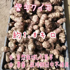 2023年最新】菊芋 紫の人気アイテム - メルカリ