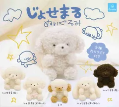 じょせまる ぬいぐるみ 全5種セット