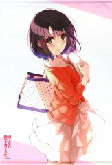 [중고] 태피스트리 [단품] 카토 메구미 B2 태피스트리 [그렇지 않은 그녀의 기르는 방법] C93 상품
