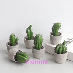 サボテン 多肉植物 置き物 雑貨 オブジェ 小物 ミニサイズ ガーデニング テーブル リビング トイレ 玄関 窓際 ギフト プレゼント 贈り物 インテ  min#