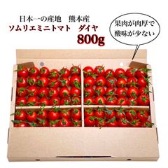 ソムリエミニトマト　ダイヤ８００ｇ（５０玉〜８０玉）