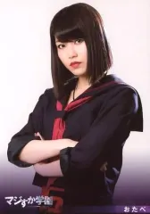 マジすか学園 DVD-BOX〈5枚組〉前田敦子・大島優子・指原莉乃・篠田麻里子 マジすか学園 DVD-BOX〈5枚組〉前田敦子・大島優子・指原莉乃