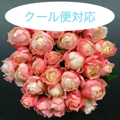 2025年最新】入手困難切り花の人気アイテム - メルカリ