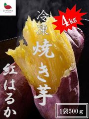 予約受付中】紅はるか苗☆ウイルスフリー 100本 6月下旬から発送