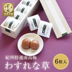 最高級紀州南高梅 はちみつ梅 ギフト 「わすれな草 6粒」