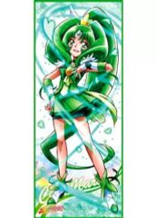 ♡様専用28日まで キュアマーチ 等身大タペストリー ジャンボタオル