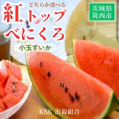 スイカ 小玉スイカ 【KSK出荷組合】 紅トップ べにくろ L どちらか1個 1.6～1.8kg 贈答用 茨城県筑西市 すいか 小玉 母の日 《5/6～5/中旬より出荷》