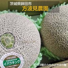メロン 【方波見農園】 むつみレッド イバラキング クインシー どれか1種 3L以上 2玉 2.4~3.6kg 糖度16度以上 贈答用 茨城県鉾田市 母の日 父の日 《5/上旬～5/中旬より出荷》