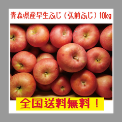 ニッチ様専用ページ　弘前ふじ　訳あり　１５０ｋｇ