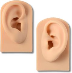 Item thumbnail for item 7f6a928e-5623-4a17-a34d-2de1ec75b584