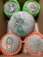 メロン詰合せ（クラリス5L・アンデスL・クインシーL）箱込5.3キロ程度 茨城県産