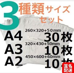 【匿名配送】LDPE宅配袋 宅配ビニール袋 A4 30/A3 10 /A2 10テープ付き 透けない 梱包 資材 3種類セット