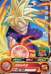 ドラゴンボールZ データカードダス 金レア 怒り（166-Ⅰ）孫悟飯（少年