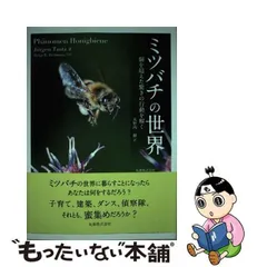 2023年最新】丸野内棣の人気アイテム - メルカリ