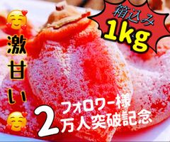 トロトロ甘蜜干し柿箱込み1kg【送料無料】訳あり　ご自宅用 ネコポス投函　新物 柿 干柿 ほしがき 渋柿 訳あり 果物 フルーツ 高糖度 ドライフルーツ お土産 秋 自宅 自宅用 ギフト お菓子 和菓子 食品 おいしい 自然食品