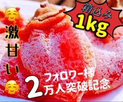北海道 島川製菓 北海道バターケーキ8個入り＆北海道ロール