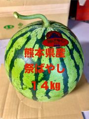 【産地直送・大玉すいか赤果肉・６／１４発送可・週末大特価】熊本県産大玉スイカ　祭ばやし　１４ｋｇ　１玉　正規品　秀品