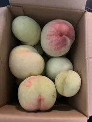 2025年最新】山梨県産若桃の人気アイテム - メルカリ 