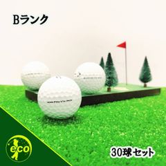 ロストボール タイトリスト Titleist PRO V1x 年代混合 ホワイト 30球 【Bランク】 ゴルフボール