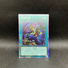 遊戯王　ヤミー　デッキパーツ　ノーマルパラレル 遊戯王 ヤミー デッキパーツ ノーマルパラレル 遊戯王 ヤミー