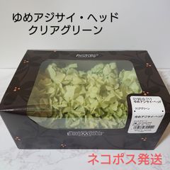 大地農園 ゆめアジサイ・ヘッド クリアグリーン 新品1箱