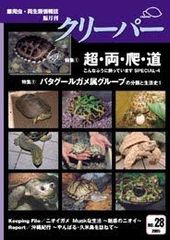 爬虫類雑誌クリーパー28号 バタグールガメ属１