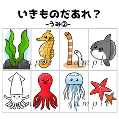 カードシアター「いきものだあれ？–海②–【ハガキサイズ】」ほいく保育教材お誕生日会★