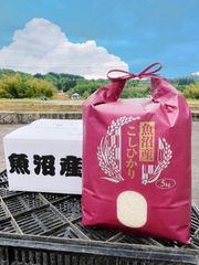 【新米】令和6年産 魚沼産コシヒカリ5Kg
