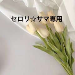 セロリ☆サマ専用