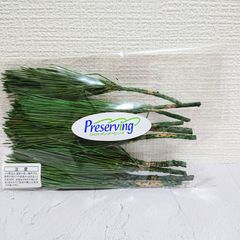 大地農園 みやこ松・小枝 グリーン 新品1袋