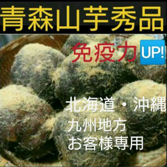 ⭐新芋⭐青森産山の芋秀品１キロ（山芋）
