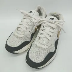◇ Θ NIKE ナイキ シンプル系 エア マックス SC SE W AIR MAX SC SE ファントム サイズ24cm グレー系 レディース E  【1507250003335】