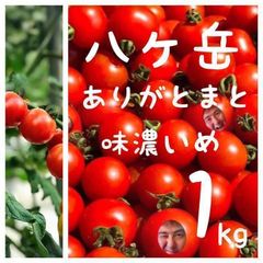 八ヶ岳産 リピトマト 約20kg 貴社のリピーター顧客と売上増が