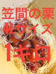 茨城県【笠間産】巨大栗　4Lサイズ　1kg