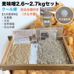 (袋付・クール)　味噌作りセット 麦味噌2.6～2.7kg　仕込み袋付き