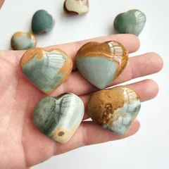 2025年最新】マダガスカルジャスパーの人気アイテム - メルカリ