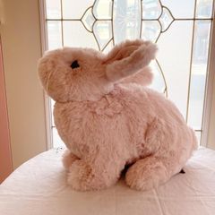 y4b57M22j3J7LME7iusB8J.jpg@jpg