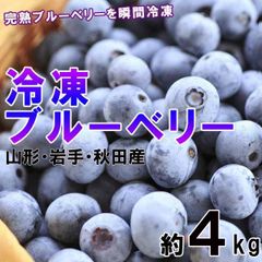 茜書房の冷凍ブルーベリー 4kg 無農薬無選別 - メルカリ